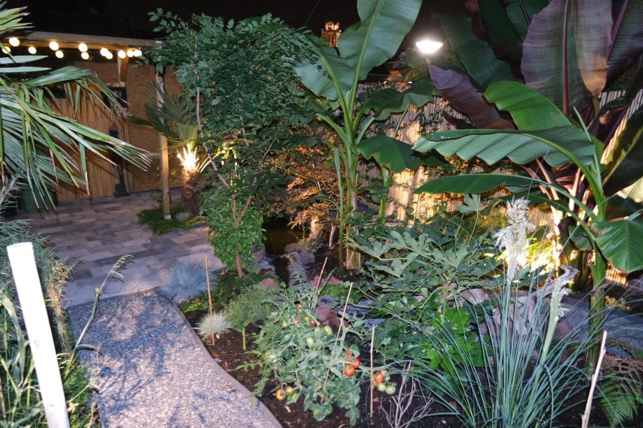 Jungle Stay In A Hidden Paradise 兹韦恩德雷赫特 外观 照片