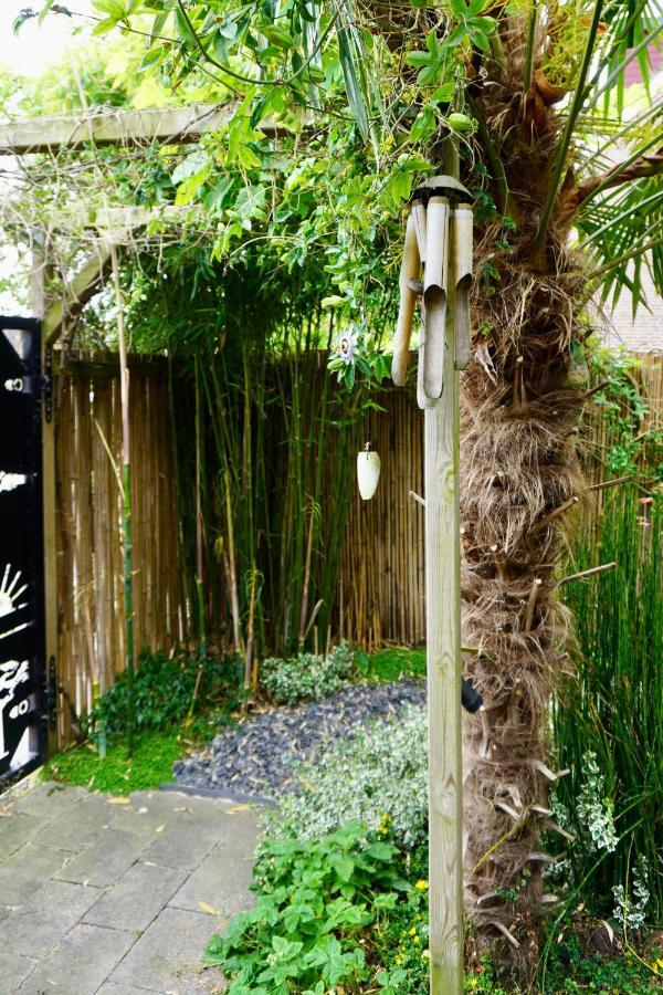 Jungle Stay In A Hidden Paradise 兹韦恩德雷赫特 外观 照片