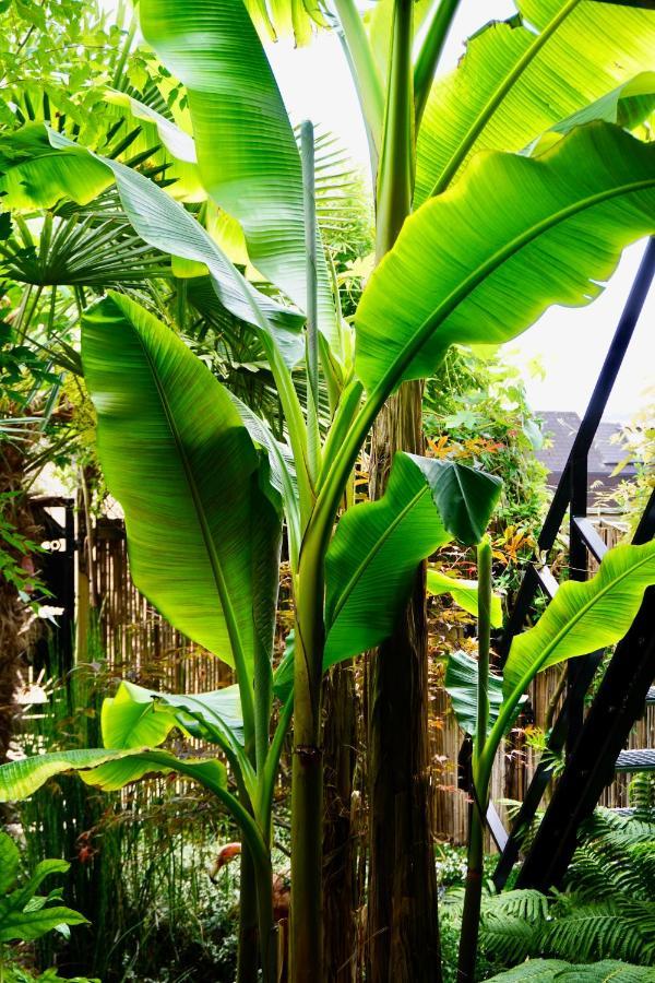 Jungle Stay In A Hidden Paradise 兹韦恩德雷赫特 外观 照片