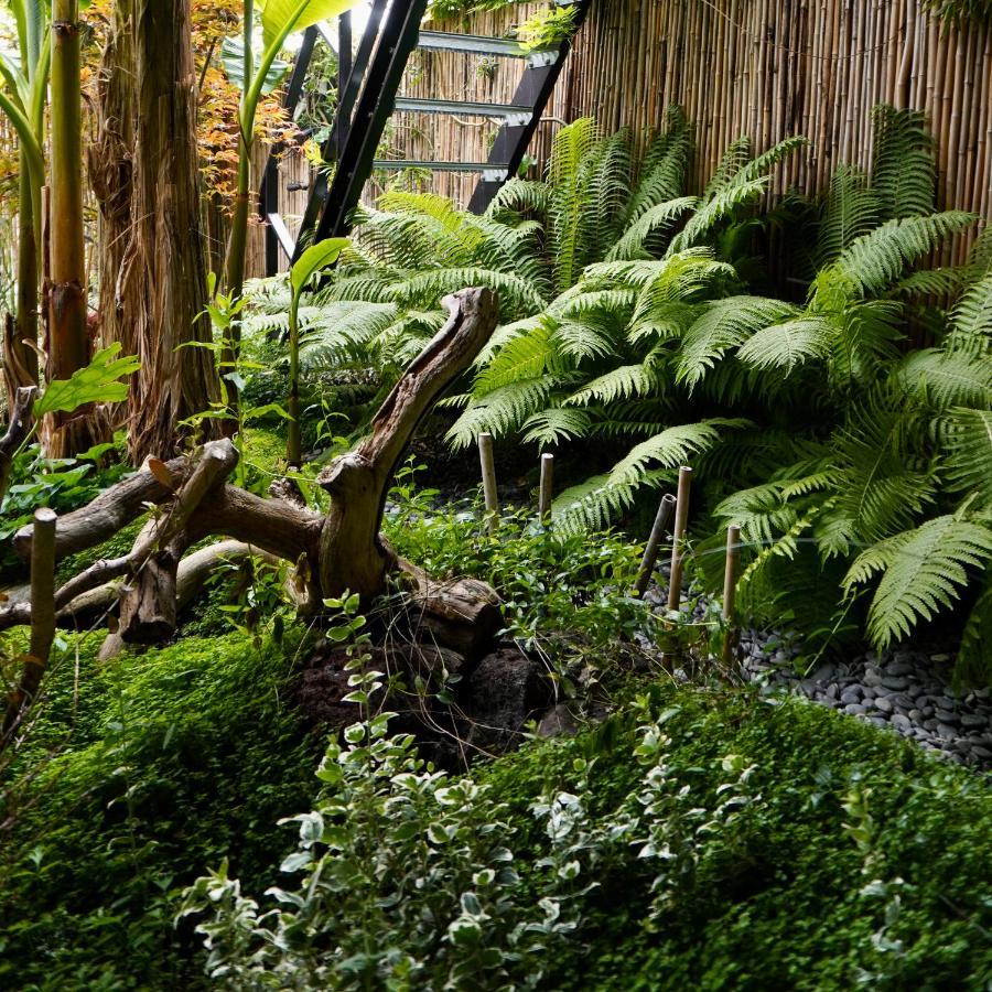 Jungle Stay In A Hidden Paradise 兹韦恩德雷赫特 外观 照片